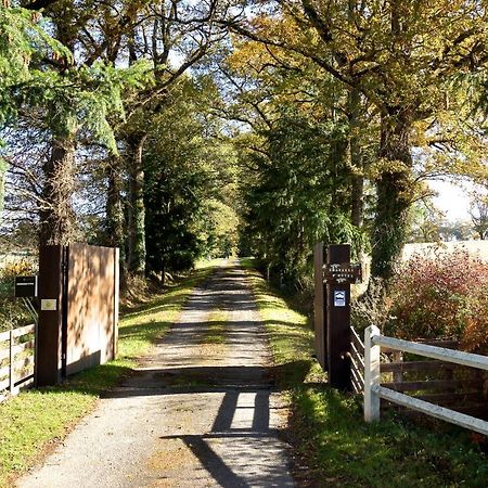 La Ferme De Pomereix Le Dorat Esterno foto